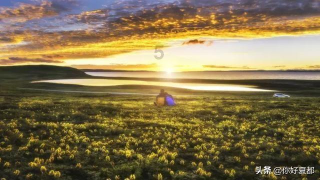 僵尸部队三部曲